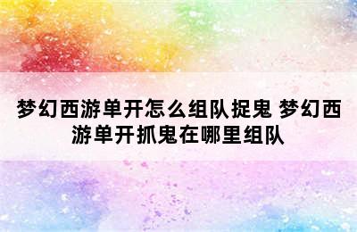 梦幻西游单开怎么组队捉鬼 梦幻西游单开抓鬼在哪里组队